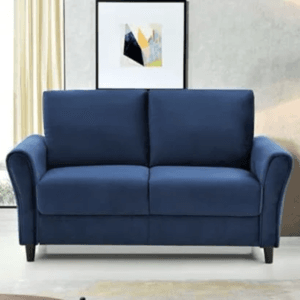 RM Home IKBILYA Two Seater Sofa Velvet Fabric (Blue)