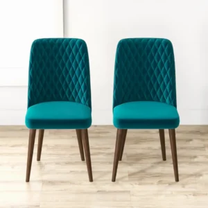 RM HOME Currency Dining Chair (Set of 2) Fabric Velvet | Dining Chair with Backrest